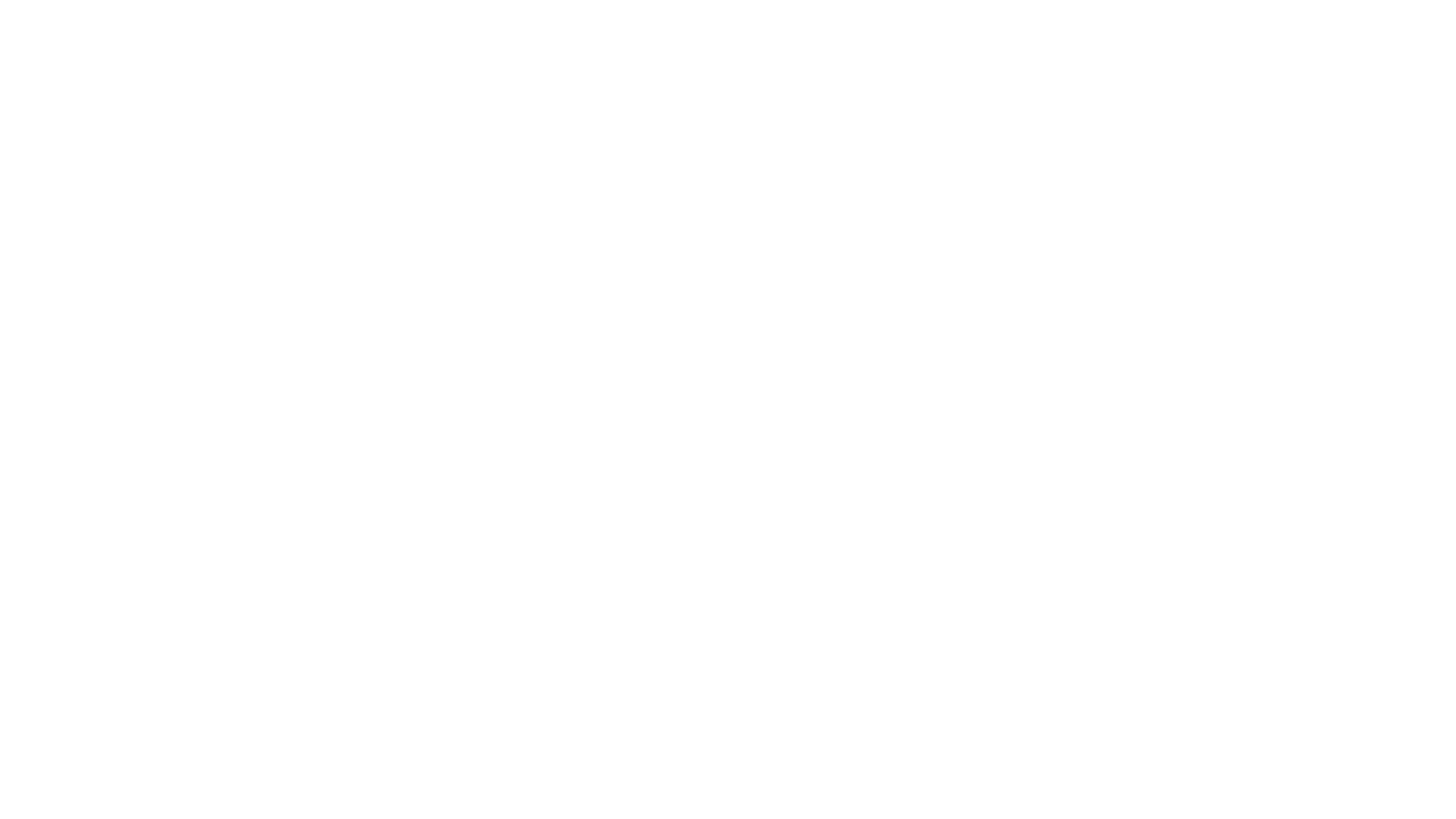 Pelea Animation
